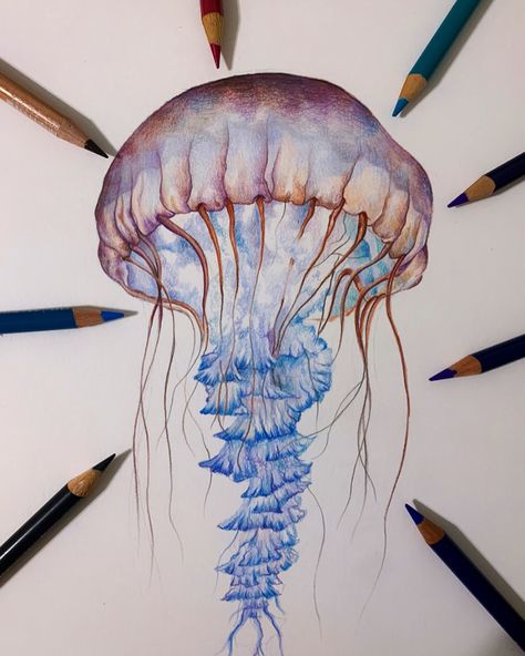 Sea Animals Drawing Realistic, Jellyfish Drawing Pencil, Jellyfish Colored Pencil, Drawing Ideas Fish, Diy Jellyfish Decoration, Under The Sea Drawings, Sealife Art, Under The Sea Art, Drawing Jellyfish