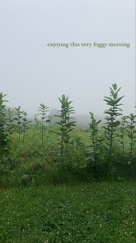 foggy morning nature hiking aesthetic Foggy Aesthetic Quotes, Morning Run Captions Instagram, Winter Morning Captions, Foggy Captions Instagram, Nature Instagram Aesthetic, Fog Snapchat Story, Winter Morning Snap, Foggy Morning Quotes, Morning Nature Quotes