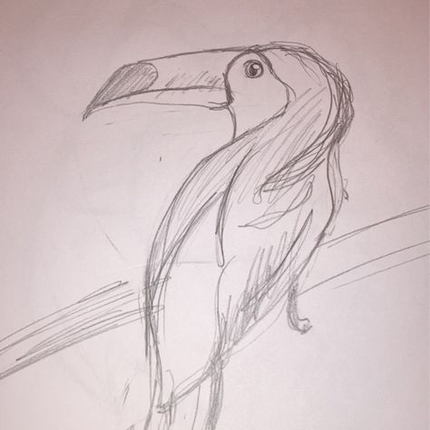 Toucan drawing 李 Toucan Sketch, Toucan Drawing, Creepy Characters, Small Drawing, Small Drawings, Art Class, Art Classes, Animal Drawings, To Draw