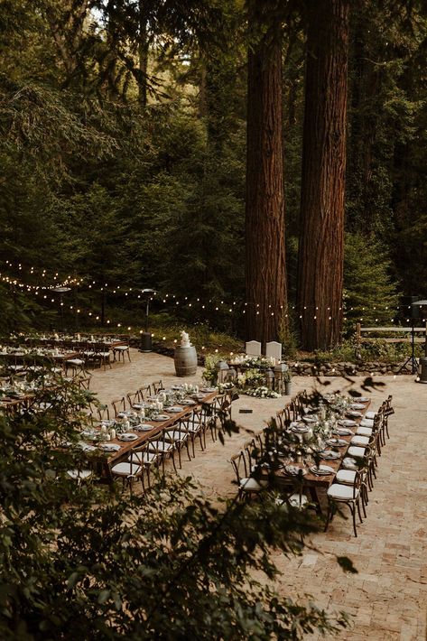 Rustic Wedding Forrest, Forest Themed Wedding Reception, Woods Wedding Aesthetic, Wedding Reception In The Woods, Wedding Reception Woods, Modern Woodsy Wedding, Wedding Venue In The Woods, Wedding Woods Forest, Outdoor Wedding Forest