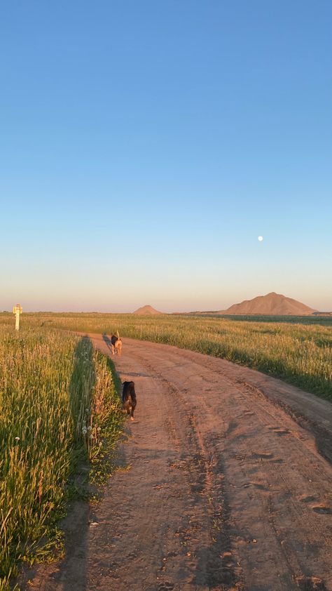 Running Nature Aesthetic, Farm Lifestyle, Adventure Aesthetic, Night Scenery, Pretty Landscapes, Paradise On Earth, Spring Aesthetic, Landscape Pictures, Nature Aesthetic