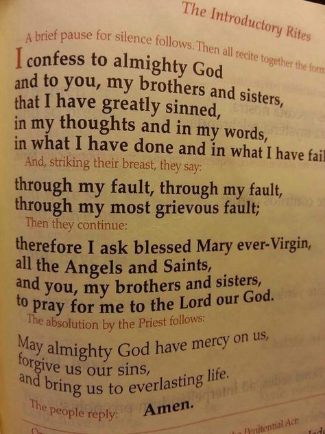 The Act of Contrition - Catholic Prayer of Confession I Confess To Almighty God, Act Of Contrition Prayer Catholic, Prayer Of Confession, Catholic Confession, Devotional Prayers, Contrite Heart, Act Of Contrition, Princess Letters, Confession Prayer