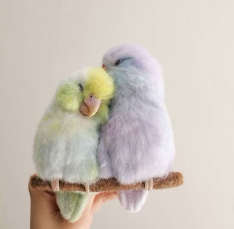 Fancy Birds, Dream Things, Cute Small Animals, Parakeets, Super Cute Animals, Pretty Animals, Fluffy Animals, Animal Sketches, Small Animals