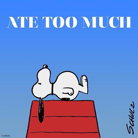 ate too much Snoopy Comics, Snoopy Funny, Snoopy Images, Peanuts Cartoon, Peanuts Characters, Snoopy Quotes, Snoopy Pictures, The Peanuts, Ate Too Much