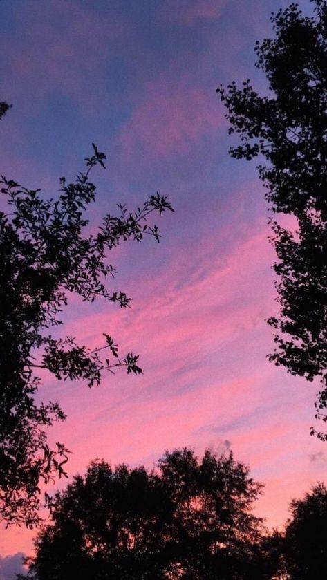 Summer Nature Photography, Sky Pictures, Pretty Landscapes, Pink Sunset, Arte Inspo, Tree Sculpture, Pretty Sky, Sunset Sky, Wallpapers Vintage