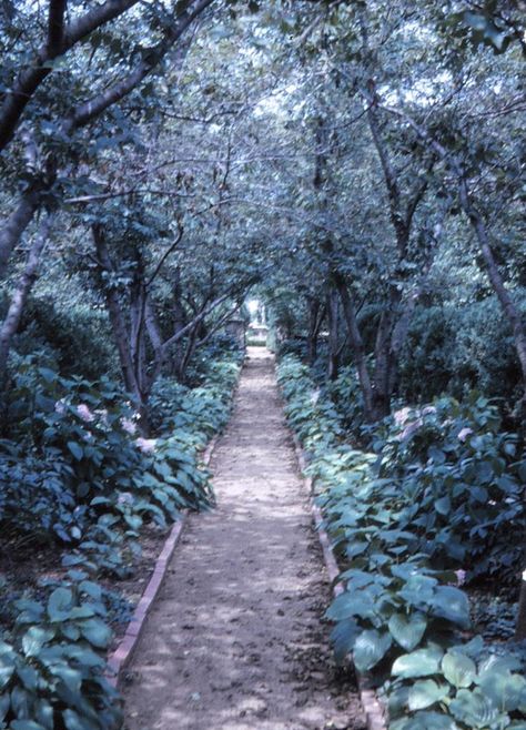 Garden photograph from the Virginia Garden Club slide collection. Library of Virginia Visual Studies Collection.  In 1913 the Warrenton Garden Club, established in 1911, became one of 12 founding clubs of the Garden Club of America. The Virginia clubs joined together in 1920 to form the Garden Club of Virginia. #garden #landscaping #flora #Virginia #design #flowers Read more at https://www.lva.virginia.gov/news/broadside/2014-Spring.pdf Warrenton Virginia, Garden Club, Kitchen Garden, Vegetable Garden, Garden Landscaping, The Garden, Flower Garden, Landscaping, Virginia