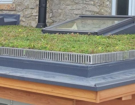 A Guide To Flat Roof Options - construction and materials | Burton Roofing Flat Roof Covering, Flat Roof Materials, Grp Roofing, Roof Options, Epdm Roofing, Lead Roof, Urban Heat Island, Living Roofs, Roof Installation