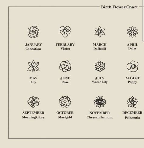 Minimalist Birth Flower Chart, Minimalist Birth Flower, Birth Flower Chart, Flower Chart, Daisy May, Lily Rose, Birth Flower, Morning Glory, Water Lily