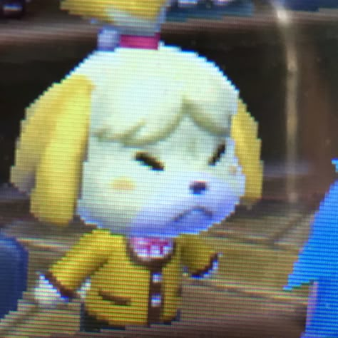 Toro Inoue, Animal Crossing Funny, Reaction Pictures, Cute Icons, Mood Pics, Home Ideas, Animal Crossing, Anime Icons, Cute Art