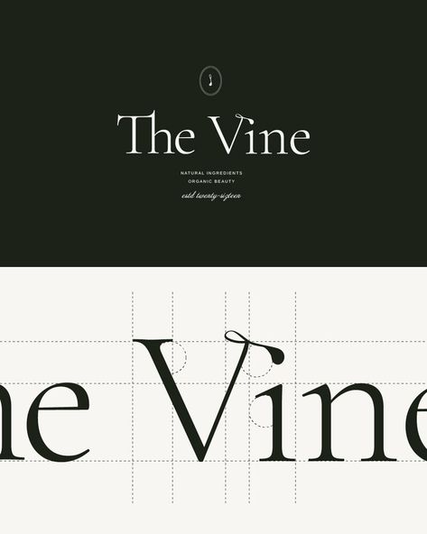 The Vine — Togue Studio Wine Branding Design, Business Identity Design, Vine Logo, Wine Logo Design, Winery Logo, Editorial Logo, Store Branding, Skincare Store, Wine Logo