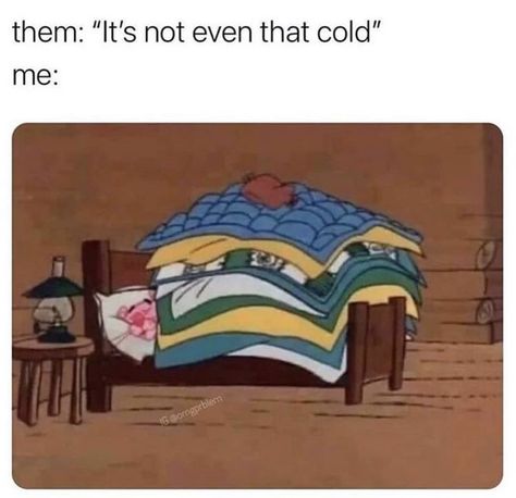 Cold Meme, Spongebob Funny, Always Cold, Real Funny Jokes, True Life, Funny Relatable Quotes, Really Funny Memes, Tumblr Funny, Funny Laugh