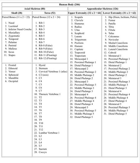 List of human bones 
Anatomy bones
Anatomy chart
Complete list of human bones in body Bones Of The Body, Human Body Bones, Teas Test, Nursing School Inspiration, Human Skeleton Anatomy, Nurse Study, Basic Anatomy, Body Bones, Anatomy Bones