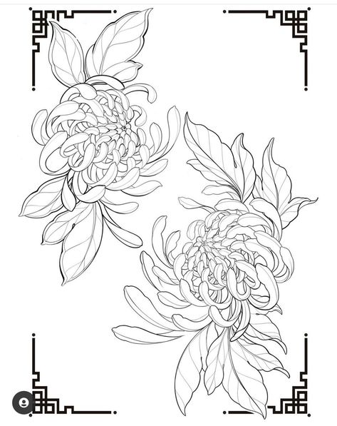 Minimalist Tattoo Ideas, Japanese Flower Tattoo, Chrysanthemum Tattoo, Flower Tattoo Drawings, General Ideas, Floral Tattoo Design, Tattoo Portfolio, Tattoo Art Drawings, Japanese Tattoo Art