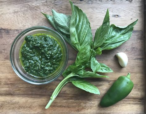 JALAPEÑO PESTO Jalapeno Pesto Recipe, Jalapeno Pesto, Pesto Sandwich Recipe, High Fibre Recipes, Cilantro Jalapeno Hummus, Fibre Recipes, Jalapeno Hummus, Veggie Dips, Vegan Apps