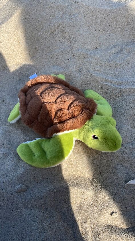 Sea Animal Plushies, Stuffed Turtle, Trash Chute, Turtle Plushie, Turtle Plush, Tiny Turtle, Baby Turtles, Cute Toys, Cute Plush