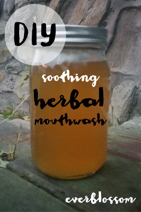 Funky breath? Sore gums? Make your own herbal mouthwash with NO irritating alcohol. Here are 5 awesome herbs you can include. Herbal Mouthwash, Homemade Mouthwash, Diy Herbal Remedies, Teeth Whitening Diy, Herbal Recipes, Best Teeth Whitening, Natural Teeth Whitening, Peppermint Tea, Natural Teeth