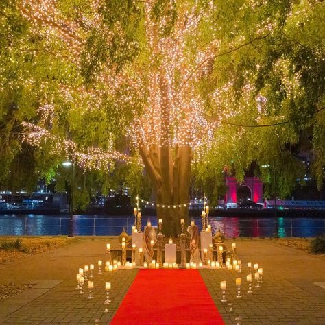 Whimsical Proposal Ideas, Proposal Under Tree, Light Proposal Ideas, Fairy Lights Proposal, Tangled Proposal, Indoor Proposal Ideas, Candlelit Proposal, Candlelight Proposal, Proposal Ideas Romantic