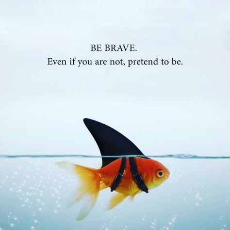 be brave Be Brave Quotes, Brave Aesthetic, Brave Movie, Brave Quotes, Brave Heart, Medicine Woman, Poems Quotes, Poem Quotes, Be Brave