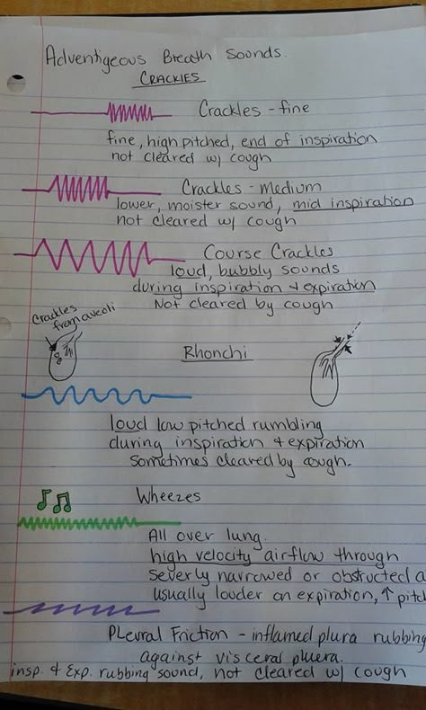 Adventitious breath sounds, auscultation, lungs, nursing Lung Sounds, Medical Assistant Student, Nurse Notes, Medical Assisting, Breath Sounds, Nursing Assessment, Medical Notes, Nclex Study, Health Assessment