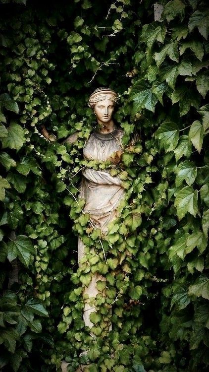 숲 사진, Funny Vine, Weeping Angels, Istoria Artei, Slytherin Aesthetic, Secret Gardens, The Secret Garden, Sleeve Tattoo, Garden Statues