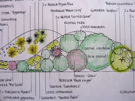 plan jardin de rocaille en pente douce à dessiner soi-même- idée Tree Plan, Garden Workshops, Short Plants, Fresh Lemonade, Permaculture Gardening, Permaculture Design, Garden Design Plans, Garden Plans, Plant Combinations