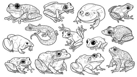 Poisonous Dart Frog Drawing, Tad Pole Drawing, Frog Flash Tattoo, Frog Tattoo Design, Toad Drawing, Toad Tattoo, Tree Frog Tattoos, American Traditional Tattoo Ideas, Frog Tattoo