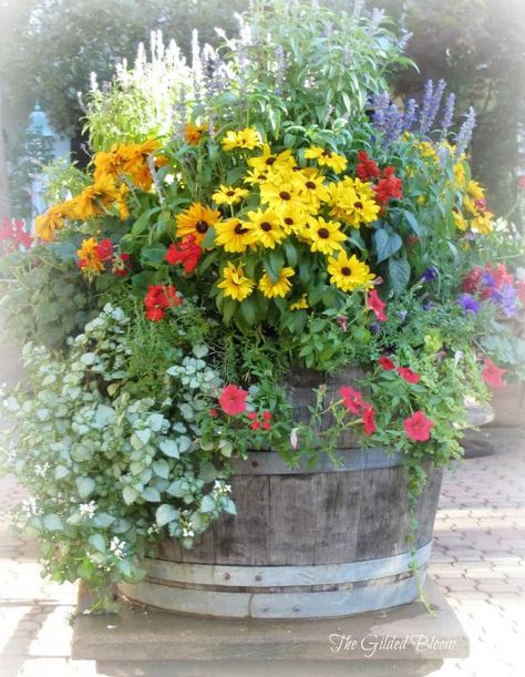 Wine Barrel Garden, Container Garden Design, Barrel Planter, Container Gardening Flowers, Outdoor Pots, Wonderful Flowers, Container Gardening Vegetables, Garden Containers, Container Garden