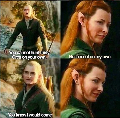 Legolas X Tauriel, Legolas And Tauriel Fanart, Legolas And Tauriel Kiss, Thranduil Memes Hilarious, Thranduil And Oropher, Legolas And Tauriel, Kili And Tauriel, Lotr Legolas Memes, Lotr Funny