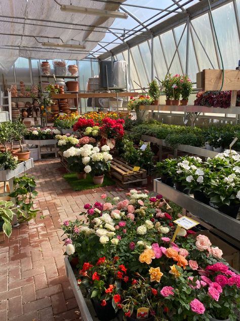 #shopping #gardening #garden #gardencenter #myshopping #green #aesthetic Garden Centre Aesthetic, Fragile Sanctuary, Gardening Club, Gardening Aesthetic, School Clubs, Garden Club, My Place, Summer Bucket Lists, June 2024