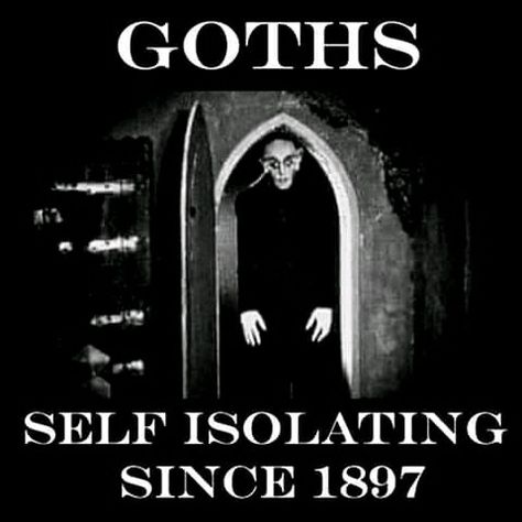 Goth Humor, Goth Quotes, Goth Memes, Gothic Coffin, Goth Subculture, Vampire Goth, Gothic Aesthetic, Goth Aesthetic, Blog Content