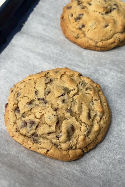 Snoop Dog's Chocolate Peanut Butter Cookies — Got Room for More Snoop Dogs Chocolate Chip Cookie, Snoop Dog Cookies, Chocolate Chip Cookies Recipes, Dog Cookie Recipes, Bars Ideas, Cookies Peanut Butter, Butter Cookie Recipe, Time And Attention, Home Bakery Business