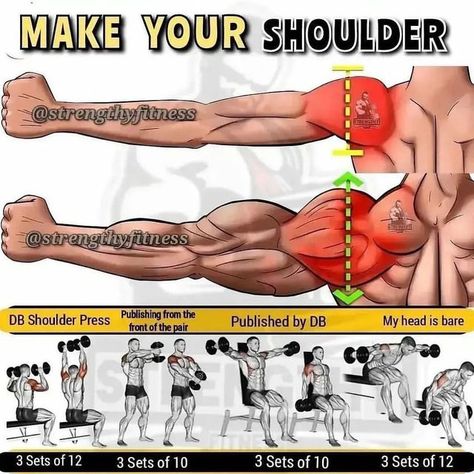 Shoulder Workout Routine, Gym Bro, Shoulders Workout, Gym Workout Guide, Gym Exercises, Gym Workout Planner, Shoulder Exercises, Training Fitness Gym, Bodybuilding Workout Plan