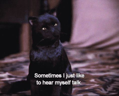 Pin for Later: 39 Salem Saberhagen Quotes You Should Start Using Immediately When Someone Asks Why You Talk So Much #cattalking Salem Saberhagen, Salem Cat, Sabrina The Teenage Witch, Cat Talk, List Of Animals, 10% Happier, A Black Cat, Flirting Quotes, Funny Animal Memes