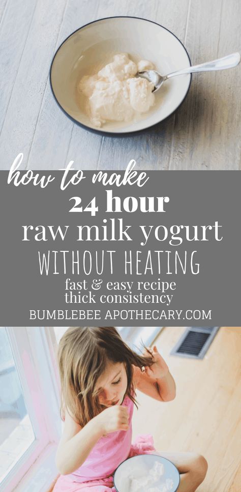 Bumblebee Apothecary, Goat Milk Yogurt, Gaps Diet Recipes, Making Yogurt, Gut Healing Recipes, Nourishing Traditions, Yogurt Recipe, Gaps Diet, Fast Easy Meals