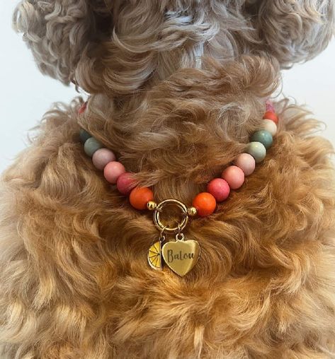 Dog Necklace Collar Diy, Diy Dog Necklace, Dog Collar Packaging, Dog Collar Aesthetic, Dog Jewelry Collar, Necklace For Dogs, Dog Necklace Collar, Pet Collar Charms, Dog Accesories