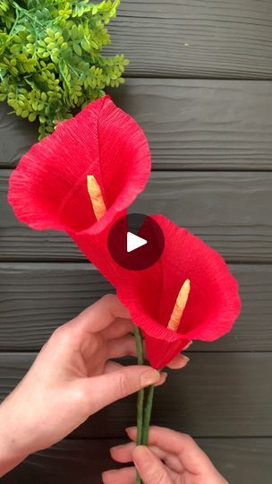 Paper Flowers Craft Tutorial, Paper Bouquet Diy, Paper Flower Diy, Crepe Paper Crafts, Paper Flowers Diy Easy, Diy Fleur, Diy Christmas Ornaments Easy, Easy Paper Flowers, Paper Flower Decor