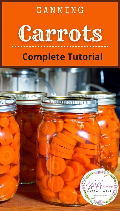 Canning Carrots Recipes, Carrots Canning, Beginner Canning, Canning Chili, Canning Carrots, Canning Soup Recipes, Canning Potatoes, Diy Mushrooms, Canning Soup