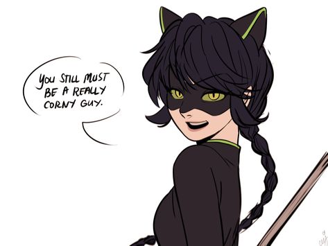 Cj on Twitter: "Oh just redrawn my tweets… " Lady Noir, Catty Noir, Miraculous Ladybug Memes, Marinette And Adrien, Miraculous Ladybug Fan Art, Miraculous Ladybug Funny, Ladybug Comics, Miraculous Ladybug Comic, Miraculous Ladybug Anime