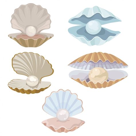 Clam Illustration, Seashell Drawing, Seashell Illustration, Pearl Seashell, Shell Drawing, Shell Tattoos, Underwater Art, Illustration Cartoon, Art Classes