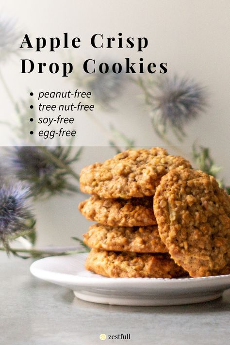 Apple Crisp Drop Cookies are peanut free, tree nut free, soy free, and egg free! Nut Free Cookies Recipes, Egg Free Cookies Recipes, Nut Free Cookies, Nut Free Desserts, Apple Cookie, Egg Free Cookies, Drop Cookie Recipes, Apple Sauce, Allergy Friendly Recipes