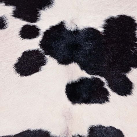 Cow Texture, Spotted Cow, Water Stone, Cheetah Print Wallpaper, Black And White Cow, Cow Spots, Screen Savers Wallpapers, Fur Texture, Western Wall Art