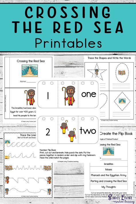 These Crossing the Red Sea Printables are aimed at children in kindergarten and preschool and includes over 100 pages of fun and learning. Valentine Math Worksheet, Parting Of The Red Sea, Crossing The Red Sea, Study Craft, Sea Activities, Math Valentines, Free Homeschool Printables, Homeschooling Tips, Bible Printables