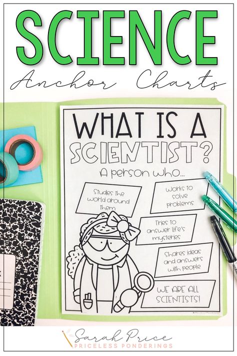 Scientist Anchor Chart, What Is A Scientist, 1st Grade Classroom, We Are Scientists, Fourth Grade Science, Kindergarten Anchor Charts, Science Anchor Charts, Second Grade Science, 1st Grade Science