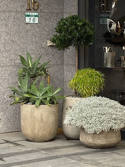 Patio Potted Plant Ideas, Landscape Planters, Outside Planters, Driveway Entrance Landscaping, Potted Plants Patio, Commercial Planters, Plants In Jars, Plant Pot Design, Modern Planter