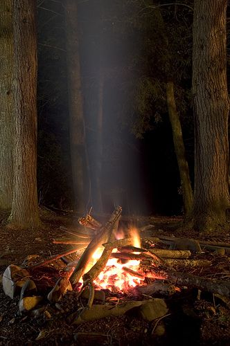 Forest At Night, Campfire Stories, Light My Fire, Camping Life, Off The Grid, Go Camping, Outdoor Life, Bushcraft, In The Woods