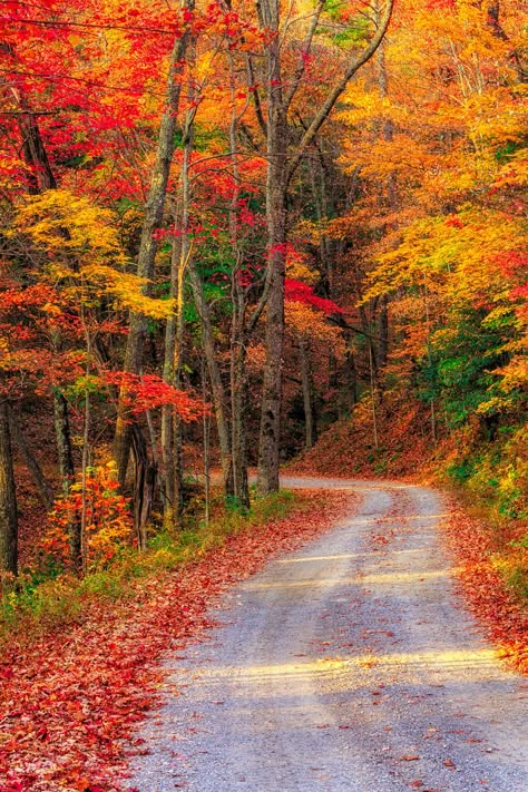 Rich Mt. Road | Colors. Red, orange, yellow, green. All Righ… | Flickr Fall Images, New England Fall, Love Autumn, Autumn Scenes, Colorful Trees, Autumn Scenery, Beautiful Autumn, I Love Fall, Autumn Beauty