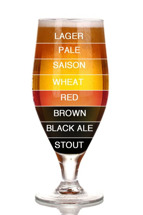 Eight shades of beer. Beer Calories, Wheat Beer, All Beer, Types Of Wine, Beer Tasting, Beer Recipes, Craft Brewing, How To Make Beer, Beer Brewing