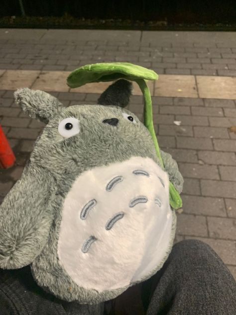 Studio Ghibli Stuffed Animals, Totoro Toy, Totoro Ghibli, Totoro Plush, Studio Ghibli Characters, Ghibli Studio, Spring Animals, Studio Ghibli Art, Hello Kitty Plush