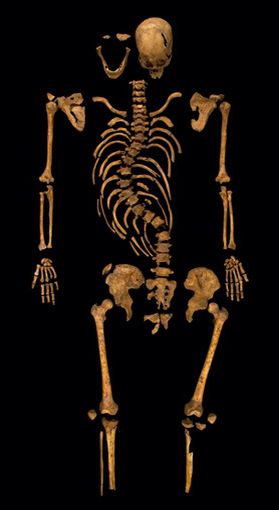 King Richard the Third's skeleton uncovered in Leicester England. Found under a car park. See BBC.com for full story and reburial March 26, 2015. Richard The Third, Leicester England, Richard Iii, King Richard, Why So Serious, Queen Of England, Car Park, British Royal Family, Leicester