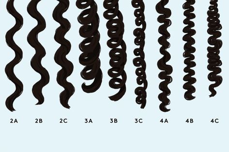 Curl Pattern Chart, Curl Type Chart, 3b Hair Type, Types Of Curly Hair, 3c Hair Type, Hair Type Chart, Hair Chart, Hair Plopping, Curl Types